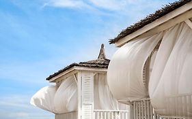 Lara Barut Collection-Ultra All Inclusive